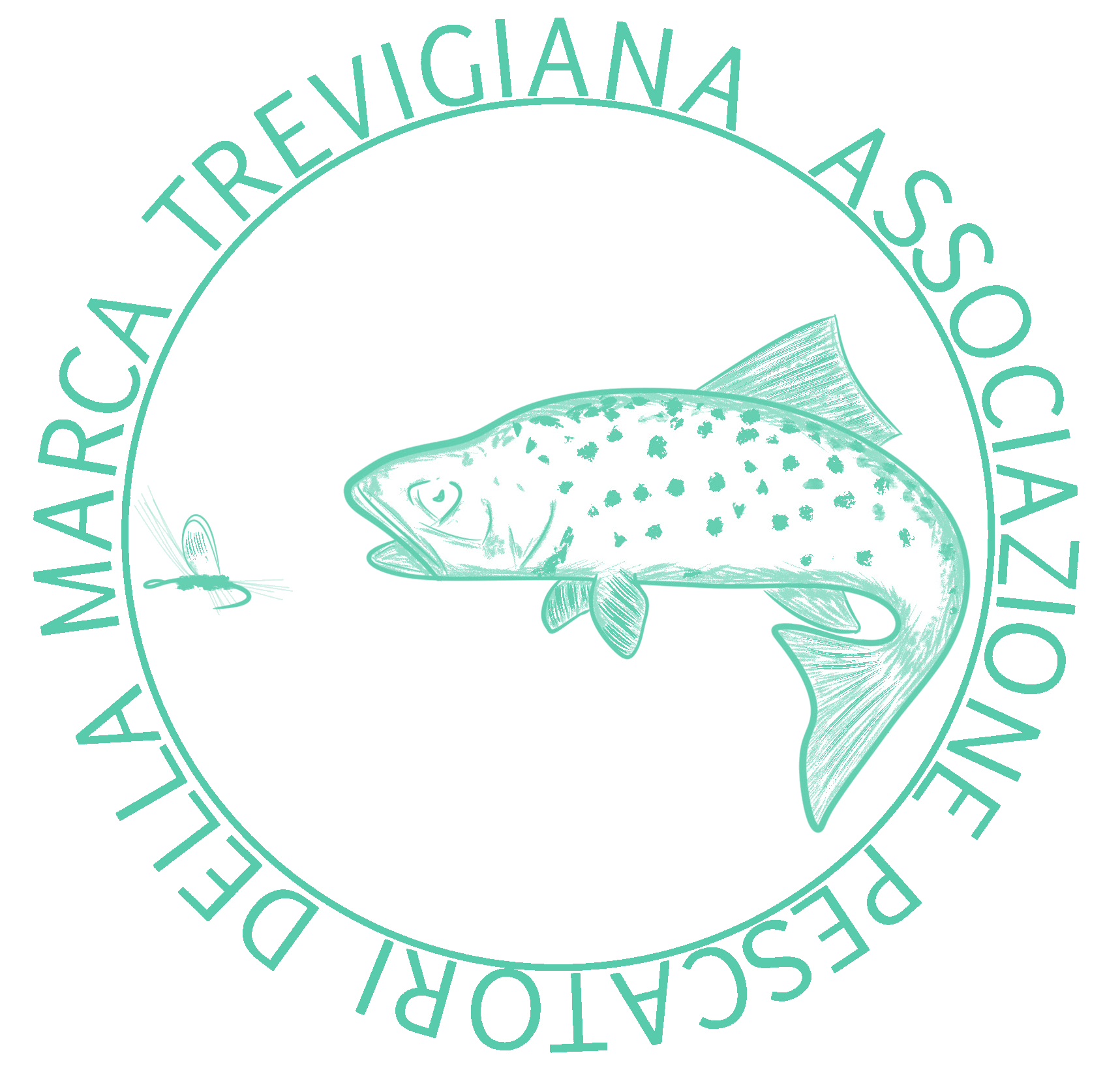 APS Marca Trevigiana